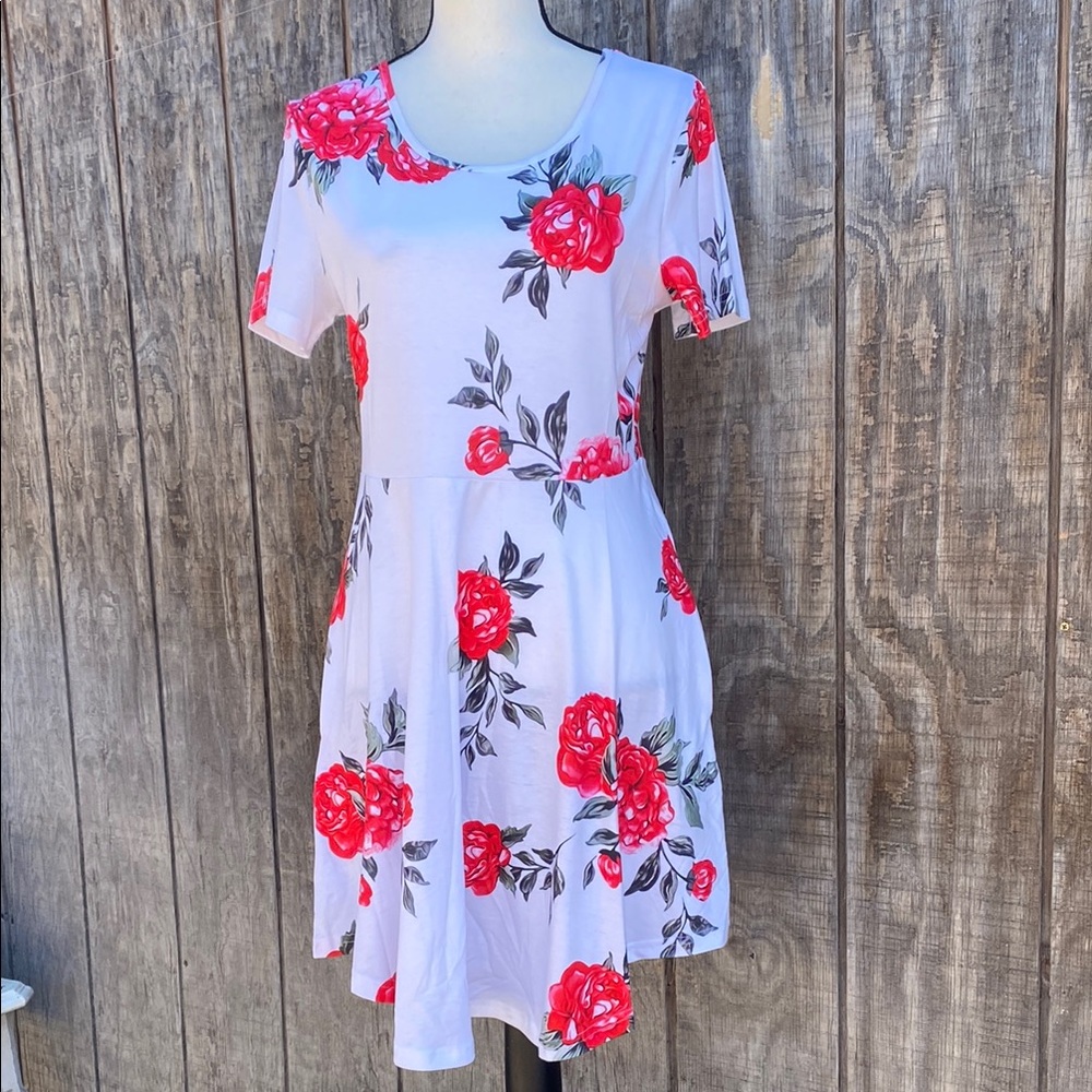 NWOT Woman’s Size Small Floral White and Red Dress perfect for all occasions